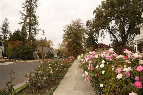 City of Woodland (11/2/2017 - Credits: City of Woodland)