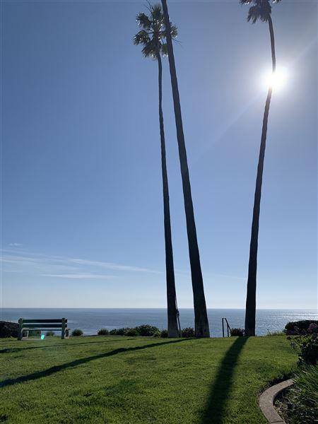 Heisler Park and Beach (2/20/2025 - Credits: Michelle Farry)