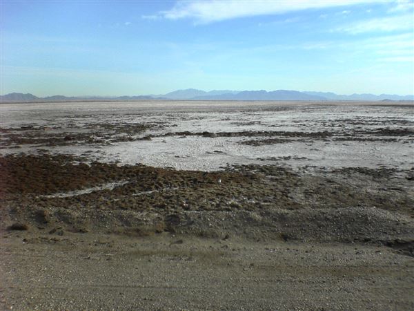 Bristol Dry Lake - Bureau of Land Management (2/2/2006 - Credits: By User:High Plains Drifter - User:High Plains Drifter, Public Domain, https://commons.wikimedia.org/w/index.php?curid=7719656)