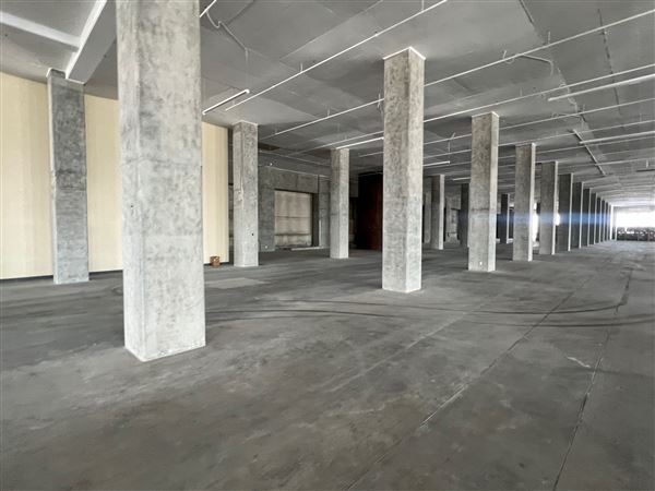 Sears Building (1/10/2025 - Credits: Eric Shomof)