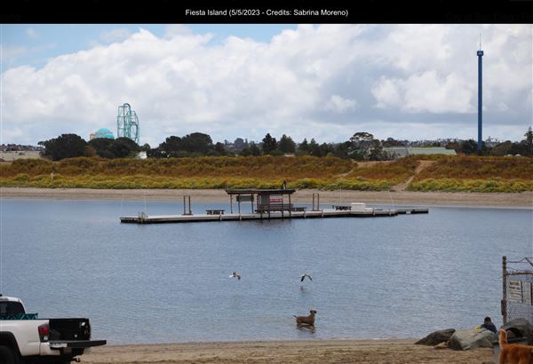 Fiesta Island (5/5/2023 - Credits: Sabrina Moreno)