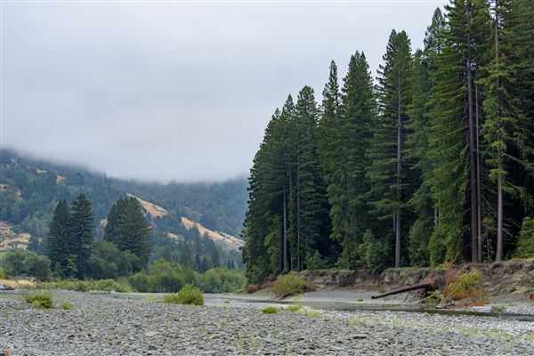 Benbow State Recreation Area (SRA) (8/22/2017 - Credits: Brian Baer)