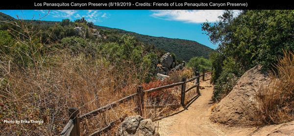 Los Penasquitos Canyon Preserve (8/19/2019 - Credits: Freinds of Los Penasquitos Canyon Preserve)