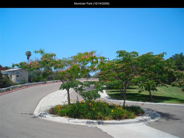 Montclair Park (10/14/2009 - Credits: San Diego Film Commision)
