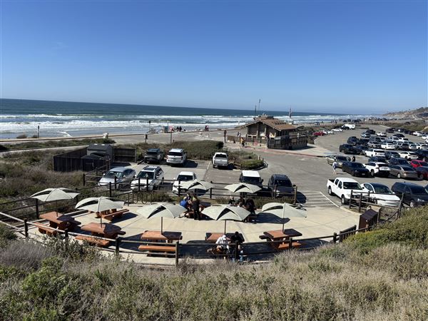 Torrey Pines State Beach (SB) (3/8/2025 - Credits: Brandy Davis)