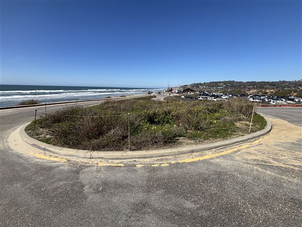 Torrey Pines State Beach (SB) (3/8/2025 - Credits: Brandy Davis)