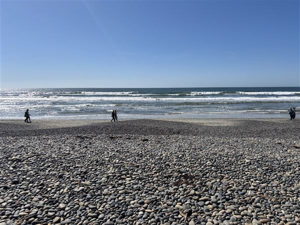 Torrey Pines State Beach (SB) (3/8/2025 - Credits: Brandy Davis)