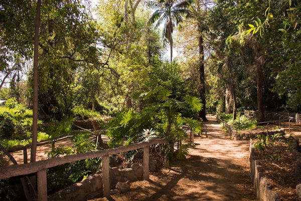 Griffith Park / Fern Dell / Griffith Park Merry-Go-Round (3/28/2025 - Credits: City of Los Angeles Department of Recreation & Parks)
