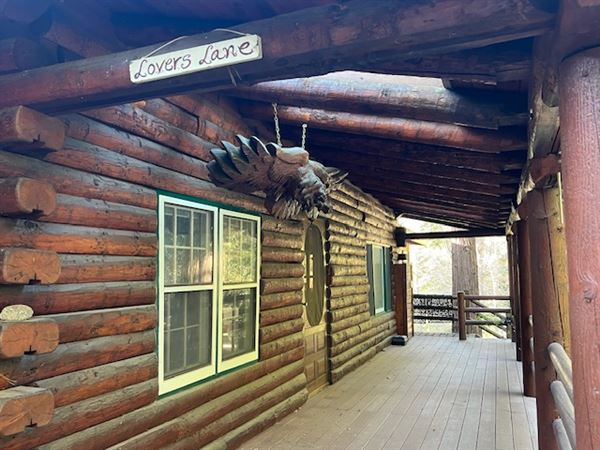 4 Log Cabins and 15 Wooded Acres Near Crestline, CA (4/9/2025 - Credits: Michelle Dowd)