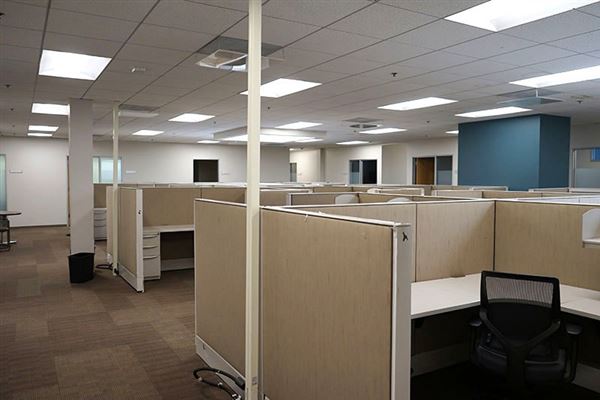 Lemon Labs (12/12/2023 - Credits: David Merabi)