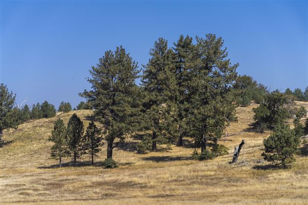 Cuyamaca Rancho State Park (SP), Lake Cuyamaca and Grand Valley Rapids (10/29/2023 - Credits: Brian Baer)
