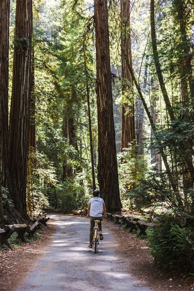 Armstrong Redwoods State Natural Reserve (SNR) (4/17/2025 - Credits: Kelsey Joy Photography)
