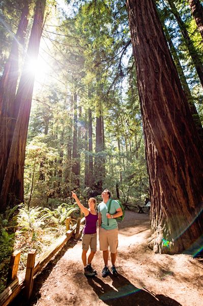 Armstrong Redwoods State Natural Reserve (SNR) (4/17/2025 - Credits: Photo Courtesy of Sonoma County)