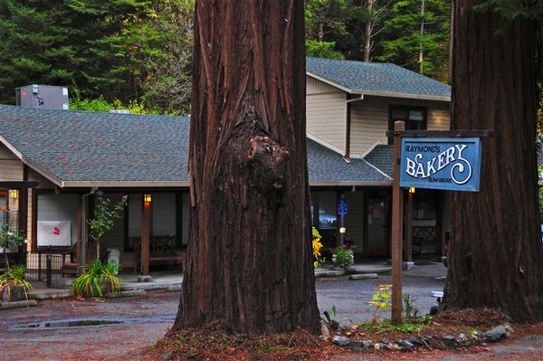 Cazadero (4/17/2025 - Credits: Photo Courtesy of Sonoma County)