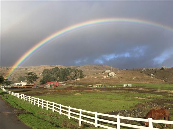 Bodega Bay (4/18/2025 - Credits: Photo Courtesy of Sonoma County)