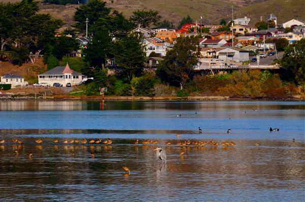 Bodega Bay (4/18/2025 - Credits: Photo Courtesy of Sonoma County)
