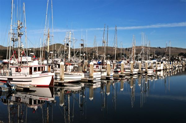 Bodega Bay (4/18/2025 - Credits: Photo Courtesy of Sonoma County)