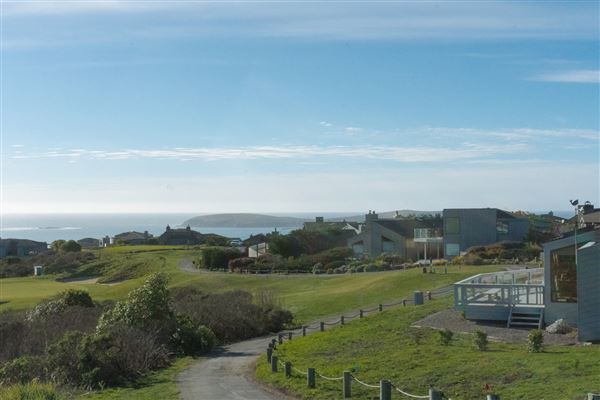 Bodega Bay - Pinnacle Gulch Coastal Access Trail - Bodega Bay (4/18/2025 - Credits: Mariah Harkey)