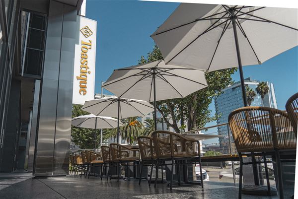 Toastique on Sunset (4/18/2025 - Credits: Zenon Samuels)