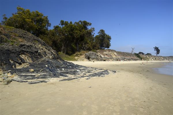 Carpinteria State Beach (SB) (6/24/2014 - Credits: Brian Baer)