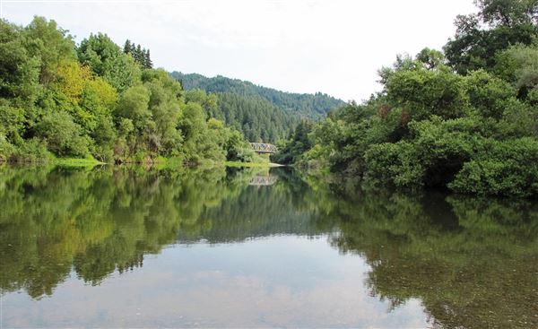 Forestville - Sunset Beach River Park (4/21/2025 - Credits: Photo Courtesy of Sonoma County)