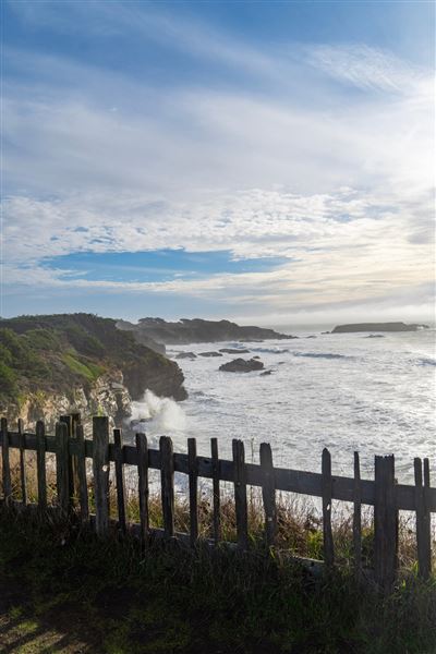 Gualala Point Regional Park (4/21/2025 - Credits: Spencer Spellman)