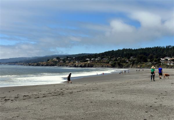 Gualala Point Regional Park (4/21/2025 - Credits: Photo Courtesy of Sonoma County)