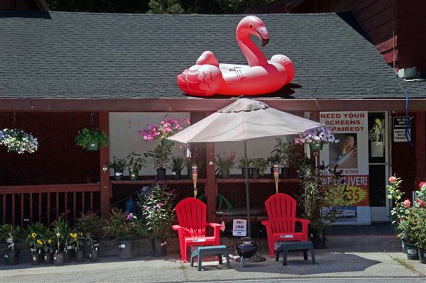 Guerneville (4/21/2025 - Credits: Al Mueller)