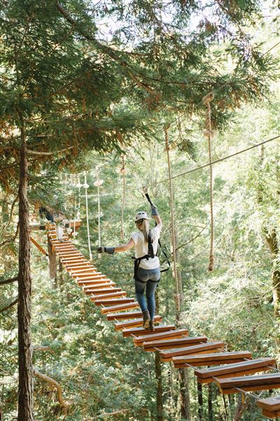 Occidental - Sonoma Canopy Tours - Sonoma Zipline Adventures (4/22/2025 - Credits: Emily Blake)