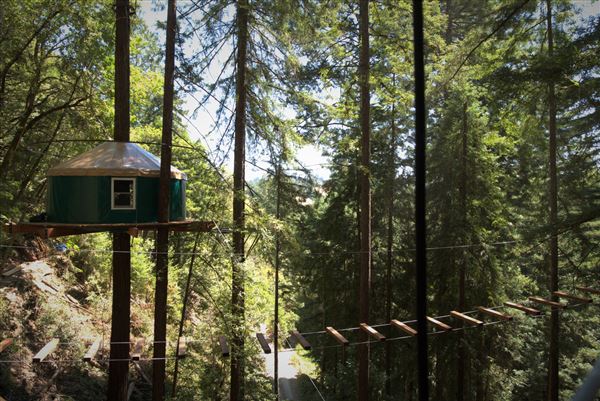 Occidental - Sonoma Canopy Tours - Sonoma Zipline Adventures (4/22/2025 - Credits: Photo Courtesy of Sonoma County)