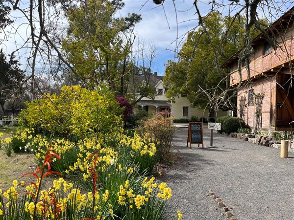 Sonoma State Historic Park (SHP) / General Vallejo’s Home / The Barracks / Mission San Francisco Solano (4/22/2025 - Credits: Donna Vigil, Special Event/Film Coordinator - Sonoma State Historic Park)