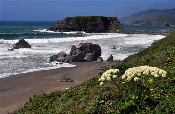 Sonoma Coast State Park (SP) - Blind Beach - Sonoma Coast State Park (4/24/2025 - Credits: Al Mueller)
