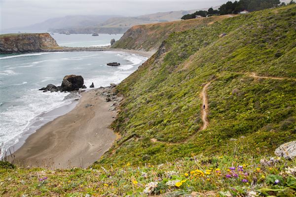 Sonoma Coast State Park (SP) - Blind Beach - Sonoma Coast State Park (4/24/2025 - Credits: Photo Courtesy of Sonoma County)