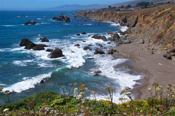 Sonoma Coast State Park (SP) - Coleman Beach - Sonoma Coast State Park (4/24/2025 - Credits: Al Mueller)