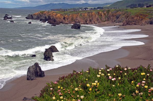 Sonoma Coast State Park (SP) - Schoolhouse Beach - Sonoma Coast State Park (4/24/2025 - Credits: Al Mueller)