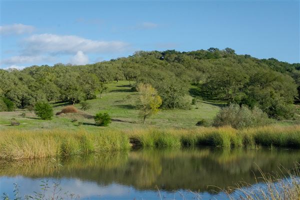 Windsor - Foothill Regional Park (4/25/2025 - Credits: Photo Courtesy of Sonoma County)