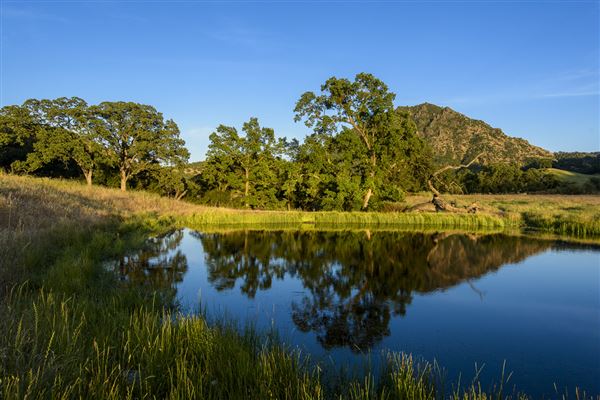 Sutter Buttes State Park (SP) (5/15/2017 - Credits: Brian Baer)