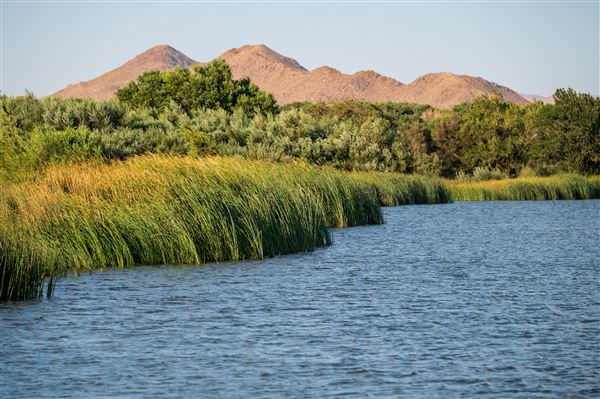Mojave Narrows Regional Park (5/20/2025 - Credits: County of San Bernardino)