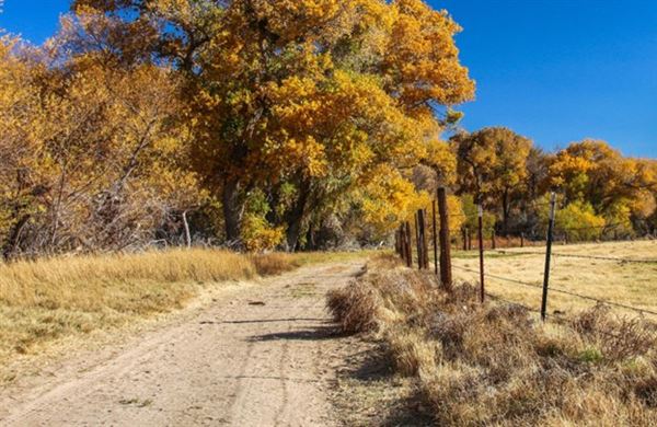 Mojave Narrows Regional Park (5/20/2025 - Credits: County of San Bernardino)