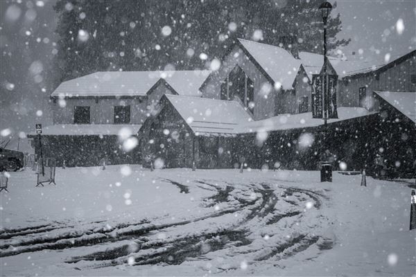 Dodge Ridge Mountain Resort (5/28/2025 - Credits: Dodge Ridge Mountain Resort)