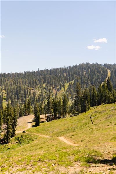 Dodge Ridge Mountain Resort (5/28/2025 - Credits: Dodge Ridge Mountain Resort)