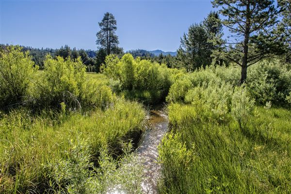 Washoe Meadows State Park (SP) (6/24/2016 - Credits: Brian Baer)