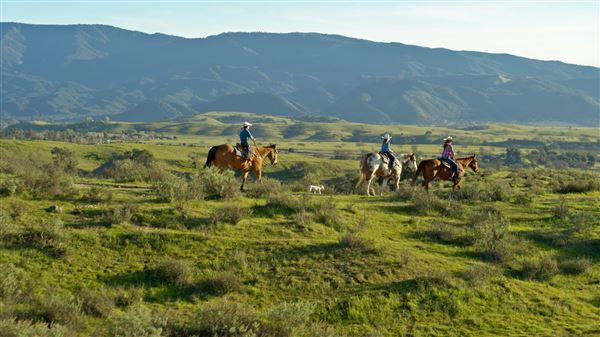 Santa Ynez - Vino Vaqueros (6/11/2025 - Credits: Courtesy Visit Santa Barbara)