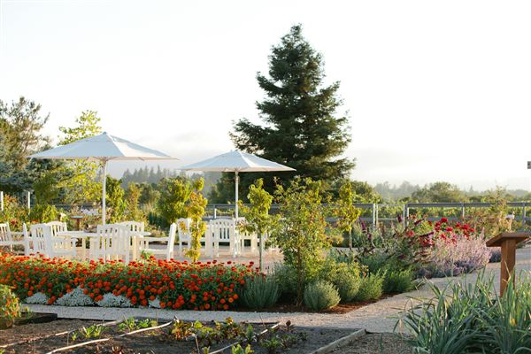 DeLoach Winery (6/30/2025 - Credits: Scott Chebegia)