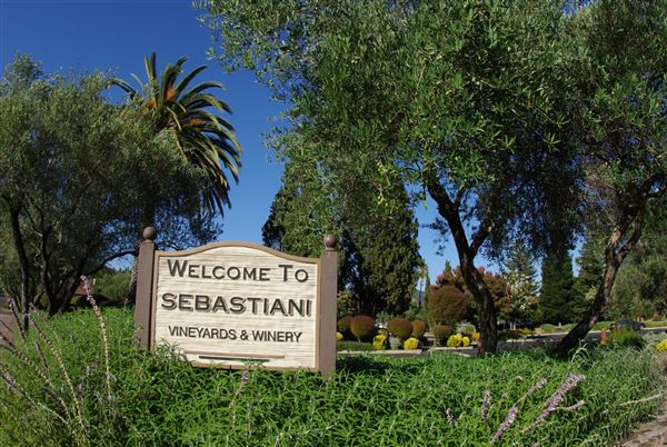 Sebastiani Winery (7/11/2025 - Credits: Bob Ecker)