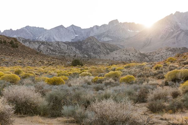 Buttermilk Country (7/25/2025 - Credits: Visit USA Parks)
