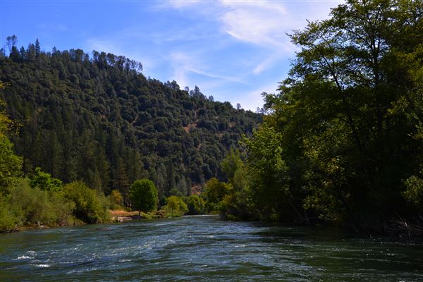 Trinity River (7/28/2025 - Credits: U.S. Bureau of Reclamation)