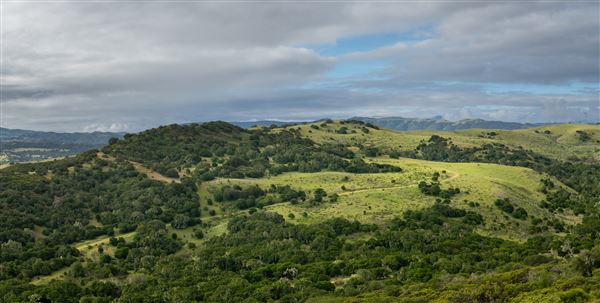 Fort Ord National Monument (6/16/2023 - Credits: Jesse Pluim, BLM, Public Domain)