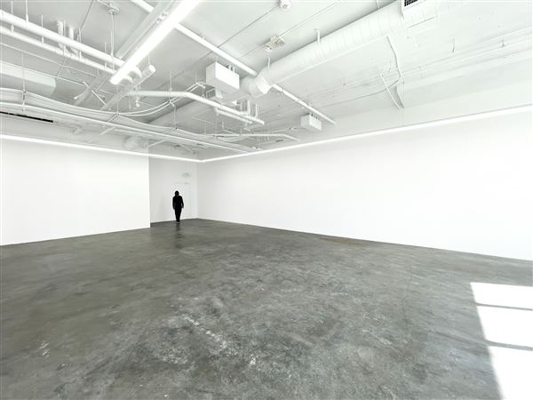 5103 W Adams Blvd (8/9/2025 - Credits: Good Mother Gallery)