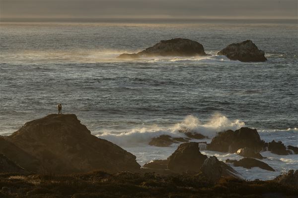 Garrapata State Park (SP) (10/15/2024 - Credits: Brian Baer)